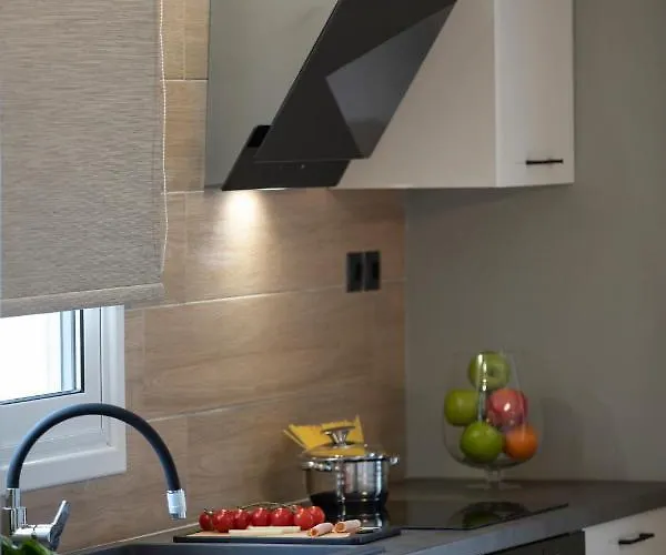 Dimitris - The House & The Frínion